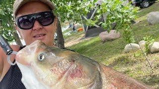 РЫБАЛКА НА РЫБАЦКОЙ УСАДЬБЕ,  Озеро К 32  Fishing, fishing freaks, fishing videos