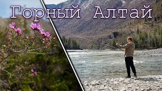 Горный Алтай в Мае. Праздник Цветение Маральника. Национальный Колорит и Рыбалка