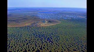 Внушительных размеров болото в мире Васюганское болото