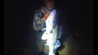 НОЧЬЮ ЭТА РЫБА НАЧИНАЕТ ЖРАТЬ!!Рыбалка на ночного судака с джигом!Рыбалка с ночевкой.
