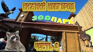 Отпуск в Нижнем Новгороде. Часть 4: Зоопарк