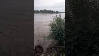 наводнение река китой 06.07.2023.