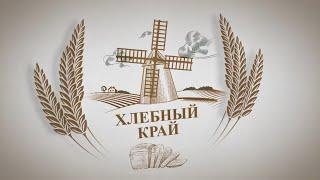 «Хлебный край»: как поднятая целина изменила на Алтае зерновое производство