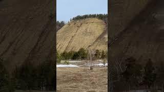 Мыраан(сопка,холм),Якутия,Хангаласский улус,2мая 2024 г., Hill from Yakutia-Sakha,Khangalas district