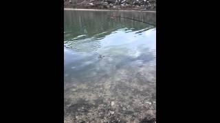 Рыбалка на озере Казеной-ам Чеченская Республика