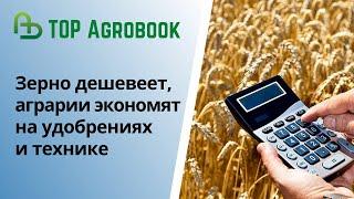 Зерно дешевеет, аграрии экономят на удобрениях и технике. TOP Agrobook: обзор аграрных новостей