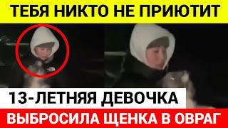 В Якутии девушка бросила щенка с обрыва