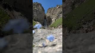 #waterfall #flowers #mountains #russia #caucasus   #россия #кавказ #цветы #горы #водопад