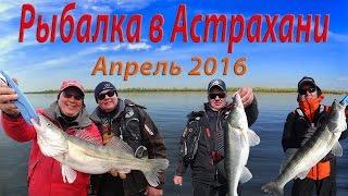 Рыбалка в Астрахани. Апрель 2018