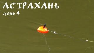 Астрахань. День 4. Астраханский ПОПЛАВОК. Рыбалка на сазана | Экскурсия по базе