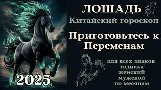 Китайский гороскоп 2025 Лошадь - Приготовьтесь к Переменам #лошадь #восточный #гороскоп #2025 #топ