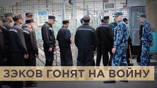 Тысяча заключенных в день. Минобороны ждет пополнения из российских колоний