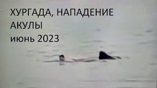ХУРГАДА. НАПАДЕНИЕ акулы июнь 2023.