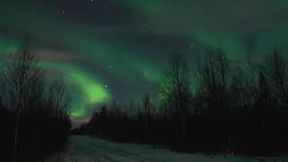 Aurora Borealis - Kola Peninsula, Russia