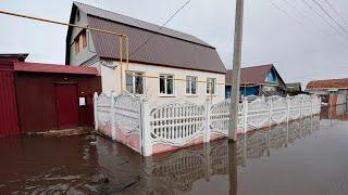 Более пятисот домов ушли под воду в Оренбургской области. Введен режим ЧС