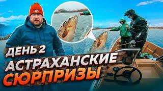ШОК! Астраханские сюрпризы. Рыбалка в Астрахани 2024