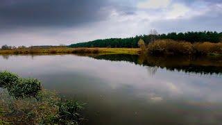 Большая рыбалка/Рыбалка в гродненской области, баня, река Неман, дом, шашлыки/рыбалка в Беларуси