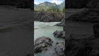 горная река Катунь Алтай