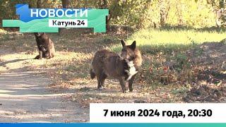 Новости Алтайского края 7 июня 2024 года, выпуск в 20:30