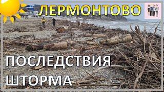 Последствия шторма в Лермонтово. Весь пляж завален деревьями