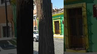Центральные улочки города Оахака де Хуарес / Путешествие по Мексике