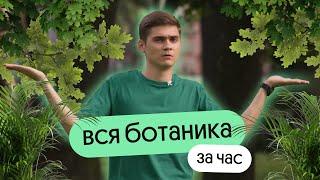 ВСЯ БОТАНИКА ЗА ЧАС