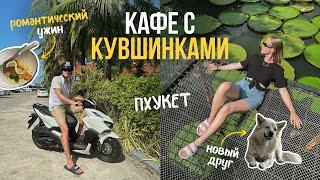 ПХУКЕТ: Кафе с КУВШИНКАМИ - Ma Doo Bua! Романтический ужин на пляже | VLOG