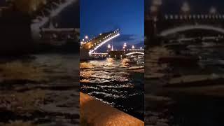 Город на Неве Развод мостов Saint Petersburg