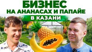 Как выращивать экзотические фрукты зимой в России? Папайя, лимон и ананас | Андрей Даниленко