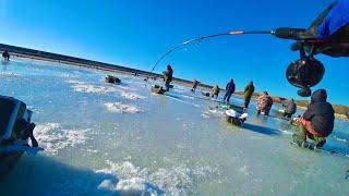 НАЧАЛАСЬ РАЗДАЧА БАЛАНСИР ТОЛЬКО УСПЕВАЙ ОТПУСКАТЬ рыбалка зимой