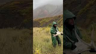 Рога лося в горах Якутии #якутия #оймякон #колыма #оленеводы