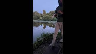 Рыбалка на дикой реке э(фидер) #рыбалка #fishing #донка #рыбалкамосква #поклевка #клев