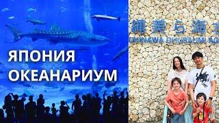 Один из самых больших океанариумов мира - Чурауми Окинава в Японии.