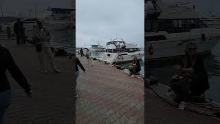 Зазывалы в порту Сочи #сочи #переездвсочи #переездвкраснодарскийкрай #переезднаюг #отдыхсочи