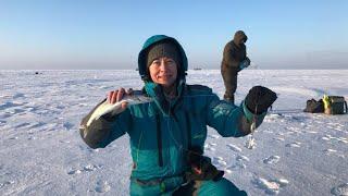 Ловим глубинного омуля на Байкале.