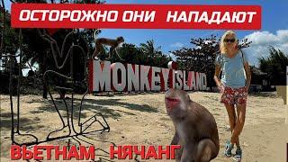 Внимание! Зачем брать экскурсию? Как добраться на остров диких обезьян самим. #нячанг #вьетнам
