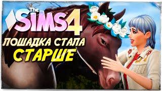 ЛОШАДКА ПОДРОСЛА! // КОННОЕ РАНЧО ФОКСОВ СИМС 4! // The Sims 4 Horse Ranch