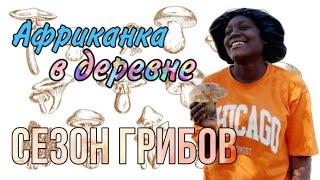Африканка в российской деревне ✰ собираем грибы